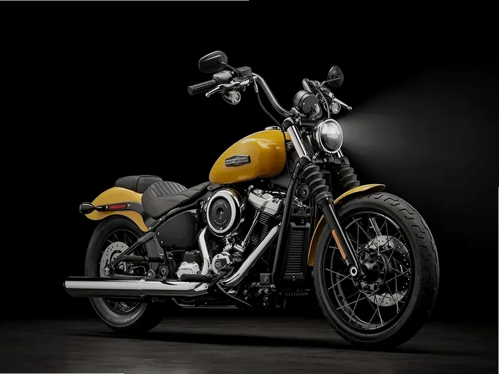 Футболка с принтом Harley-Davidson Rubaha — детальный ракурс